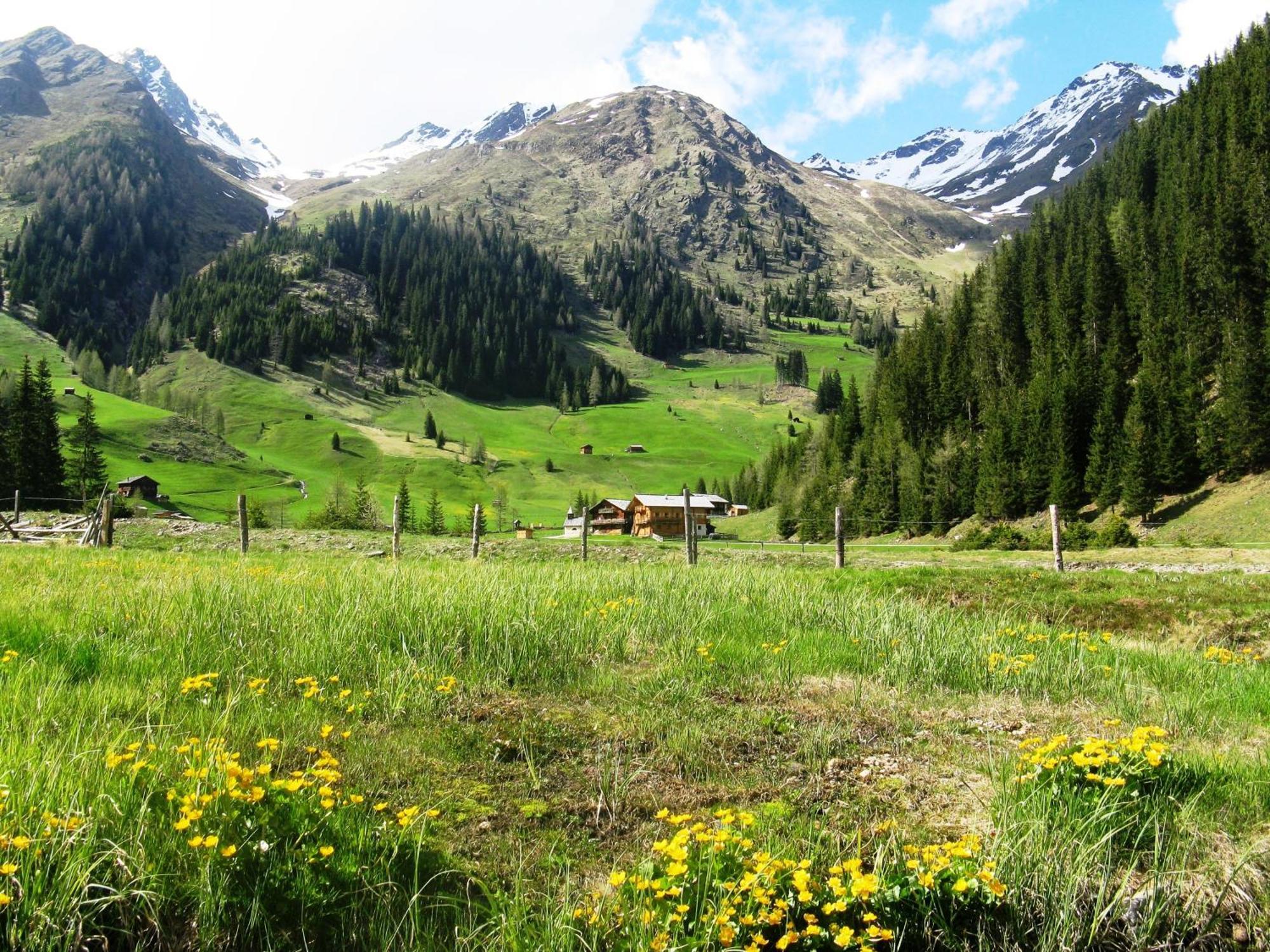 Die Natur Residenz Innervillgraten Ngoại thất bức ảnh